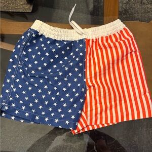 Chubbies 5.5 inch swim trunks